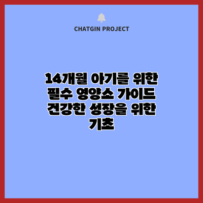 14개월 아기를 위한 필수 영양소 가이드: 건강한 성장을 위한 기초