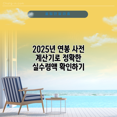 2025년 연봉 사전 계산기로 정확한 실수령액 확인하기
