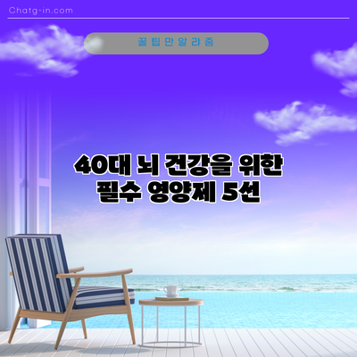 40대 뇌 건강을 위한 필수 영양제 5선
