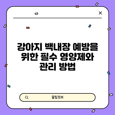 강아지 백내장 예방을 위한 필수 영양제와 관리 방법