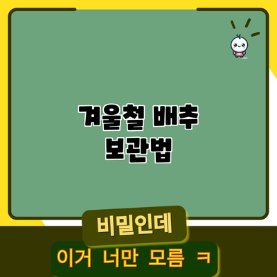 겨울철 배추 보관법