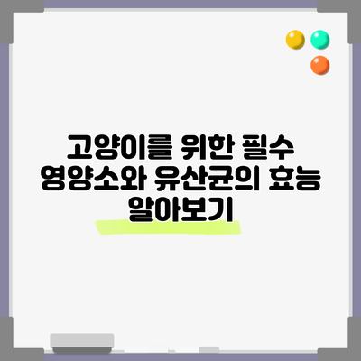 고양이를 위한 필수 영양소와 유산균의 효능 알아보기