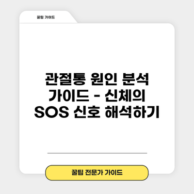 관절통 원인 분석 가이드 - 신체의 SOS 신호 해석하기