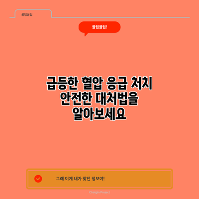 급등한 혈압 응급 처치: 안전한 대처법을 알아보세요