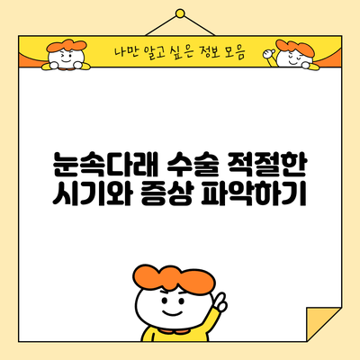 눈속다래 수술: 적절한 시기와 증상 파악하기