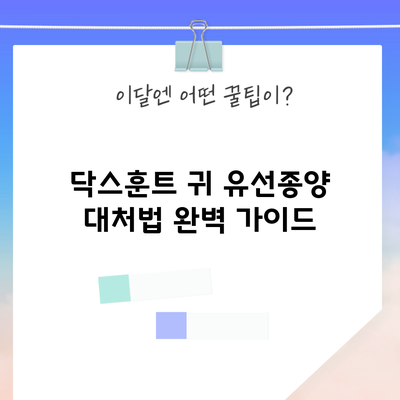 닥스훈트 귀 유선종양 대처법: 완벽 가이드