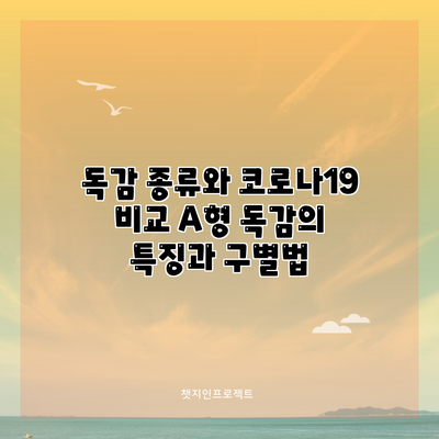 독감 종류와 코로나19 비교: A형 독감의 특징과 구별법