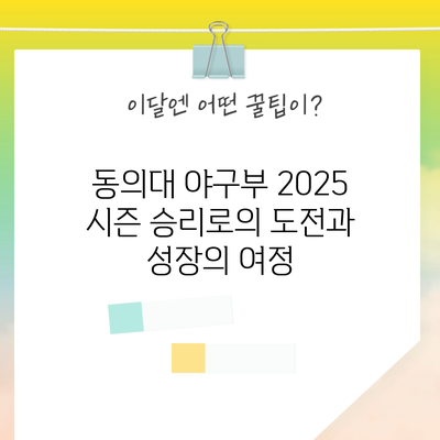 동의대 야구부 2025 시즌: 승리로의 도전과 성장의 여정