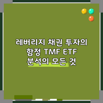 레버리지 채권 투자의 함정: TMF ETF 분석의 모든 것