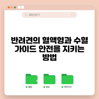 반려견의 혈액형과 수혈 가이드: 안전을 지키는 방법