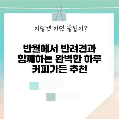 반월에서 반려견과 함께하는 완벽한 하루: 커피가든 추천