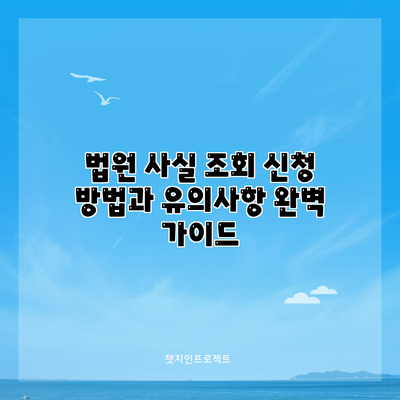 법원 사실 조회 신청 방법과 유의사항 완벽 가이드