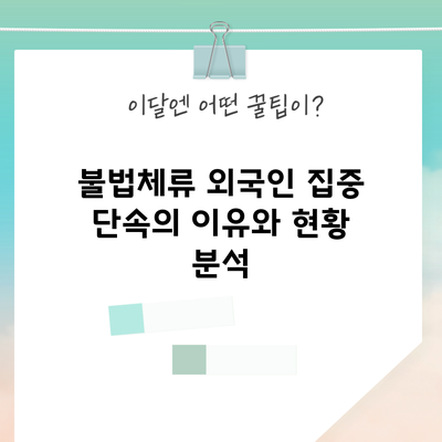 불법체류 외국인 집중 단속의 이유와 현황 분석
