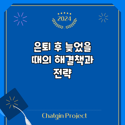 은퇴 후 늦었을 때의 해결책과 전략