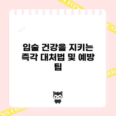 입술 건강을 지키는 즉각 대처법 및 예방 팁