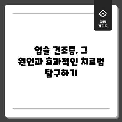 입술 건조증, 그 원인과 효과적인 치료법 탐구하기