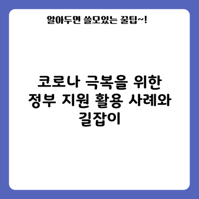코로나 극복을 위한 정부 지원 활용 사례와 길잡이