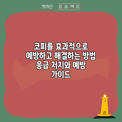 코피를 효과적으로 예방하고 해결하는 방법: 응급 처치와 예방 가이드