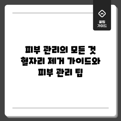 피부 관리의 모든 것: 혈자리 제거 가이드와 피부 관리 팁