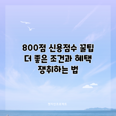 800점 신용점수 꿀팁: 더 좋은 조건과 혜택 쟁취하는 법