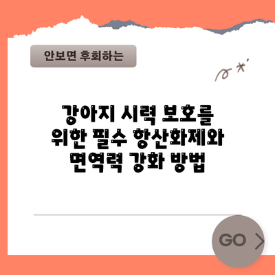 강아지 시력 보호를 위한 필수 항산화제와 면역력 강화 방법