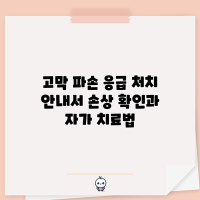 고막 파손 응급 처치 안내서: 손상 확인과 자가 치료법