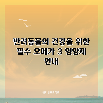 반려동물의 건강을 위한 필수 오메가 3 영양제 안내