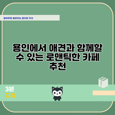 용인에서 애견과 함께할 수 있는 로맨틱한 카페 추천