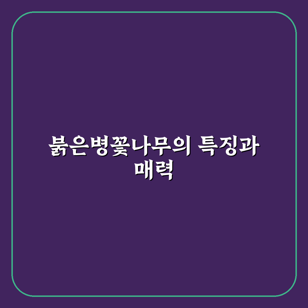 붉은병꽃나무 키우기 꿀팁과 관리 방법 정리