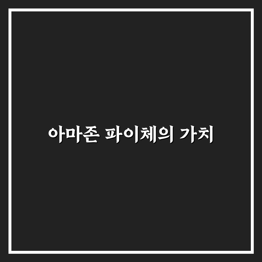 아마존 파이체 추천 방법과 꿀팁 정리