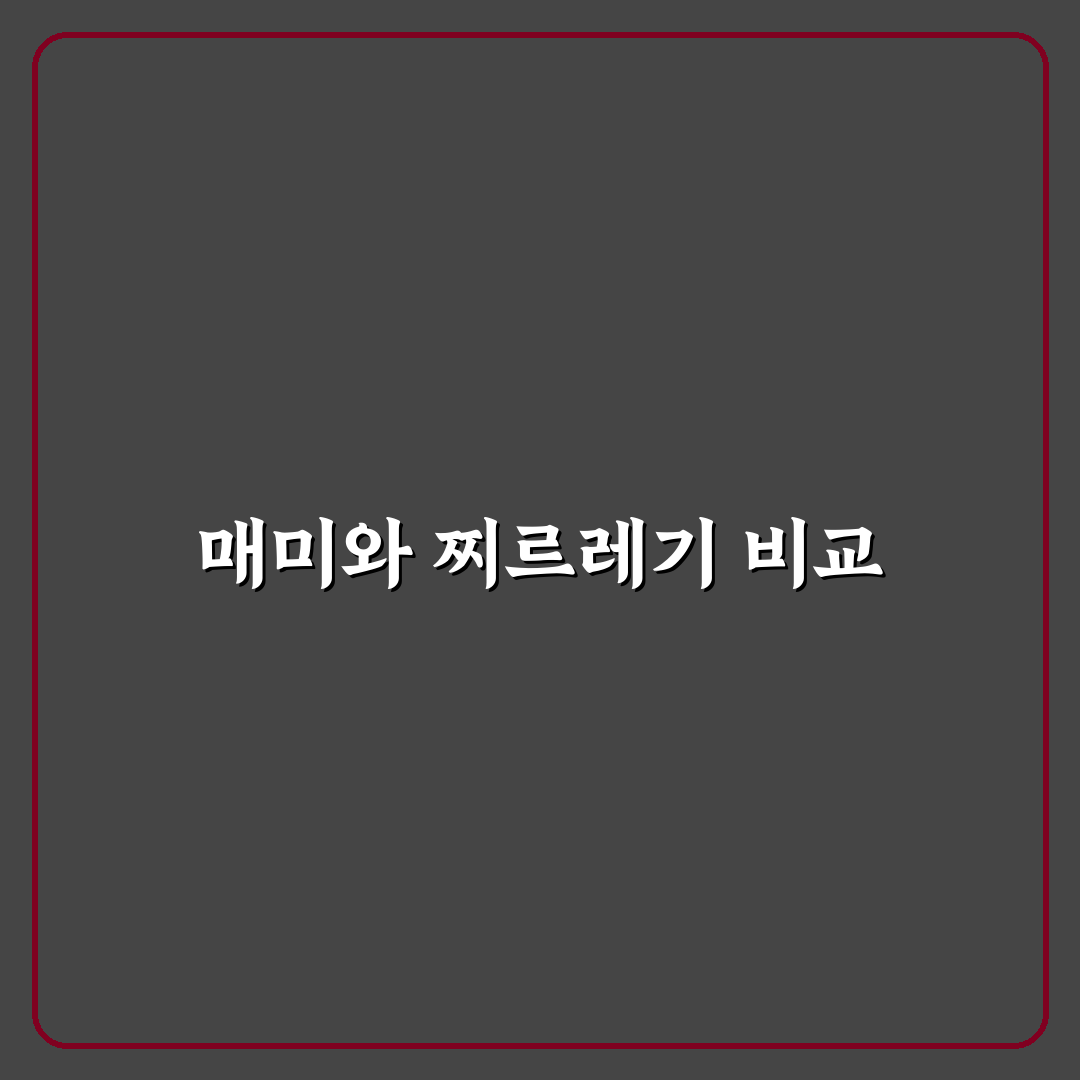 매미 찌르레기 차이와 특징 정리합니다