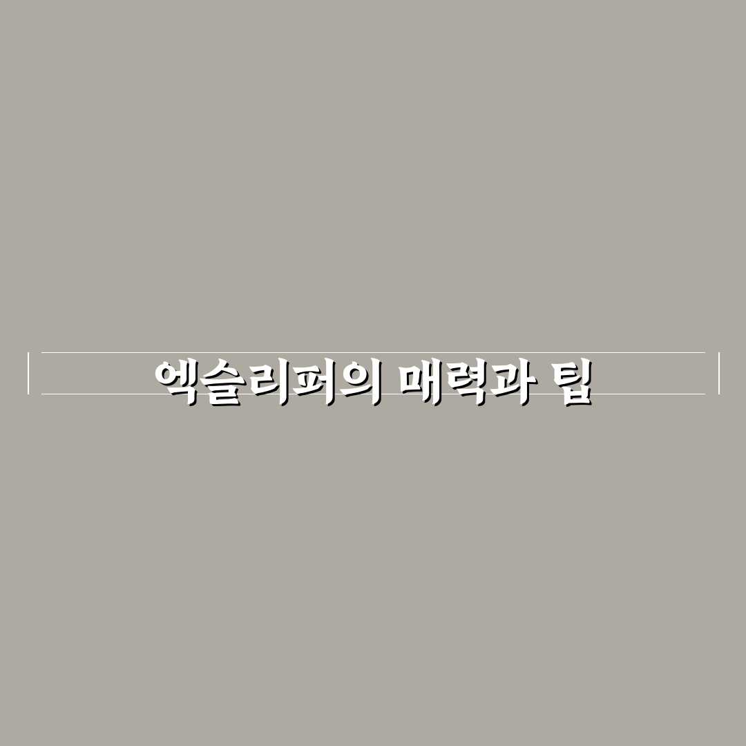엑슬리퍼 후기 내돈내산 추천 꿀팁 정리