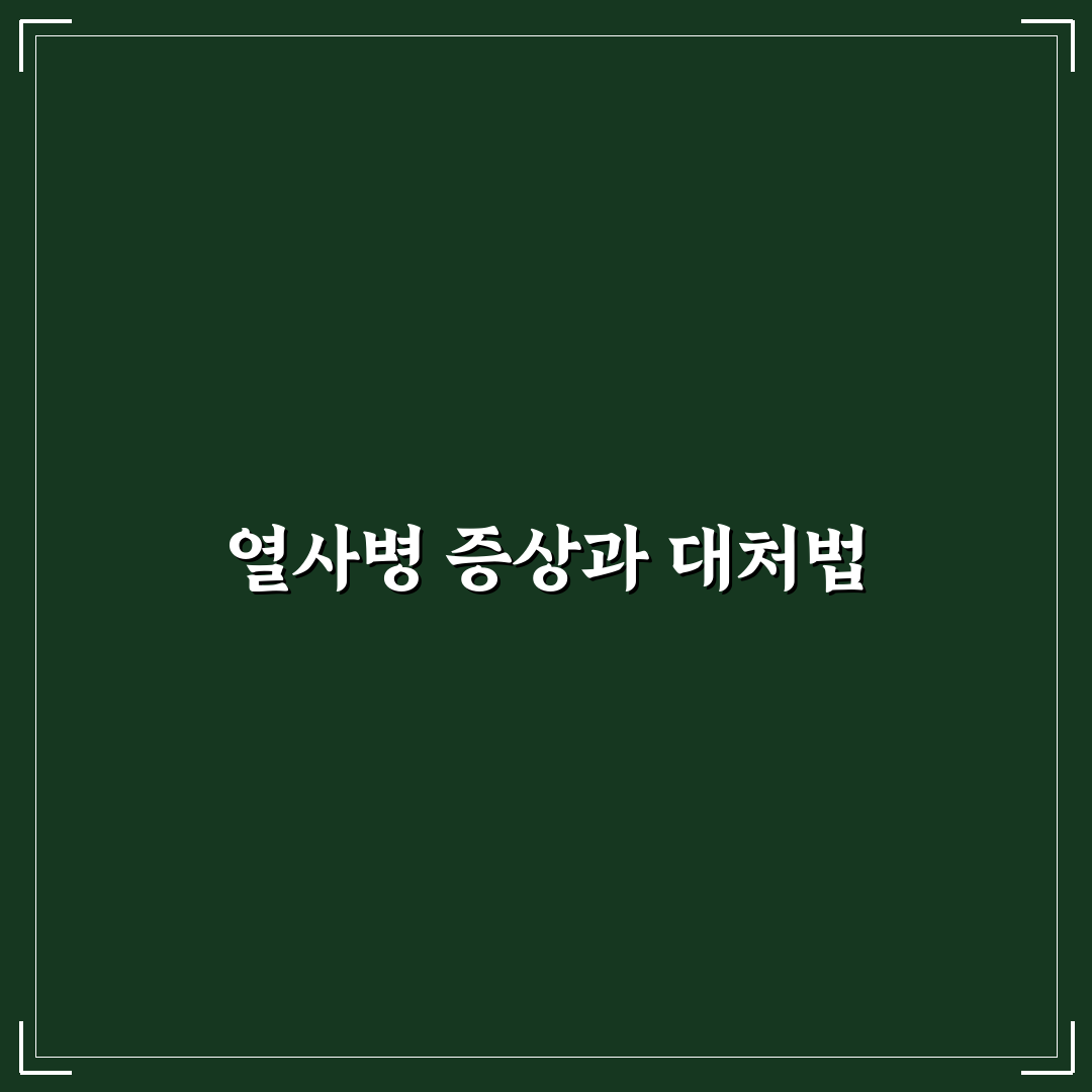 열사병 증상과 조언 초보자를 위한 필수 팁 공유
